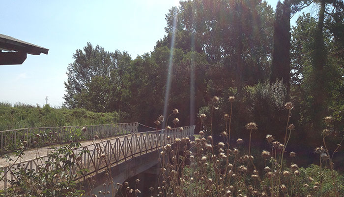 Agriturismo Il Cucco